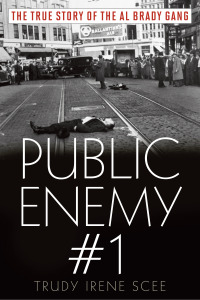 Imagen de portada: Public Enemy Number One 9781608935116