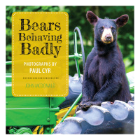 Imagen de portada: Bears Behaving Badly 9781608936038