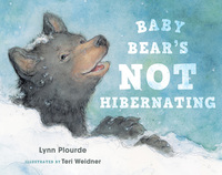 表紙画像: Baby Bear's Not Hibernating 9781608936229