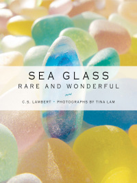 Immagine di copertina: Sea Glass 9781608936533