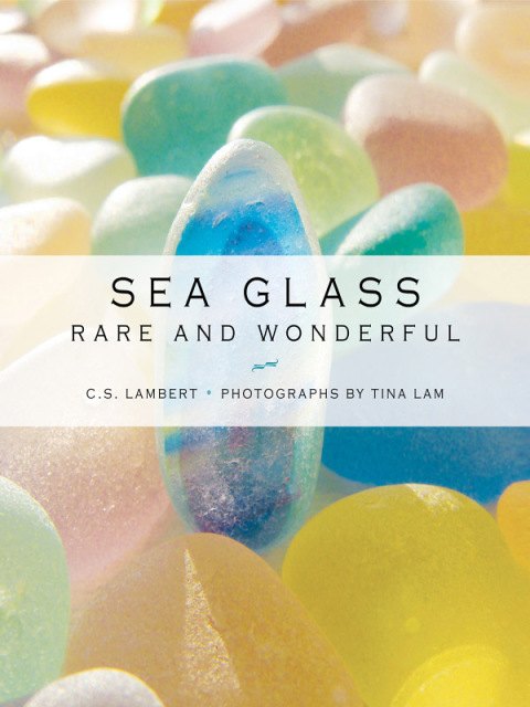 Sea Glass: Rare and Wonderful - FULL INSTANT DOWNLOAD | PDF DOCX EPUB