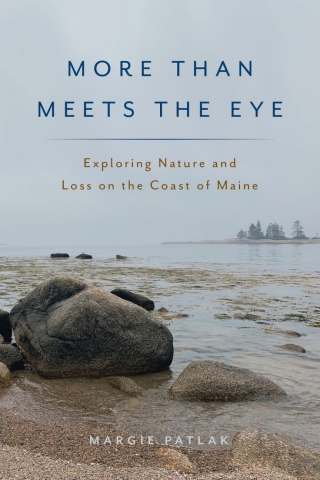 Cover image: More Than Meets the Eye 9781608937530