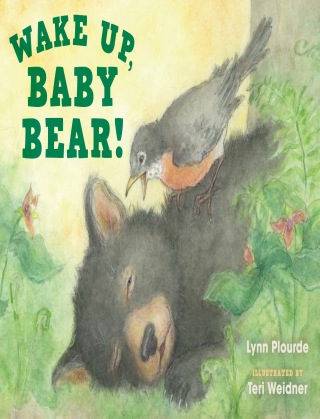 Cover image: Wake Up, Baby Bear! 9781608939718