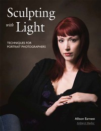 Cover image: Sculpting with Light 9781584282365