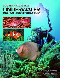 Cover image: Master Guide for Underwater Digital Photography 9781584281665