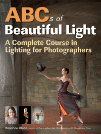 Immagine di copertina: ABCs of Beautiful Light 9781608957170