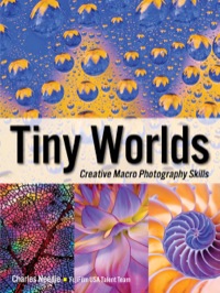 Cover image: Tiny Worlds 9781608957637
