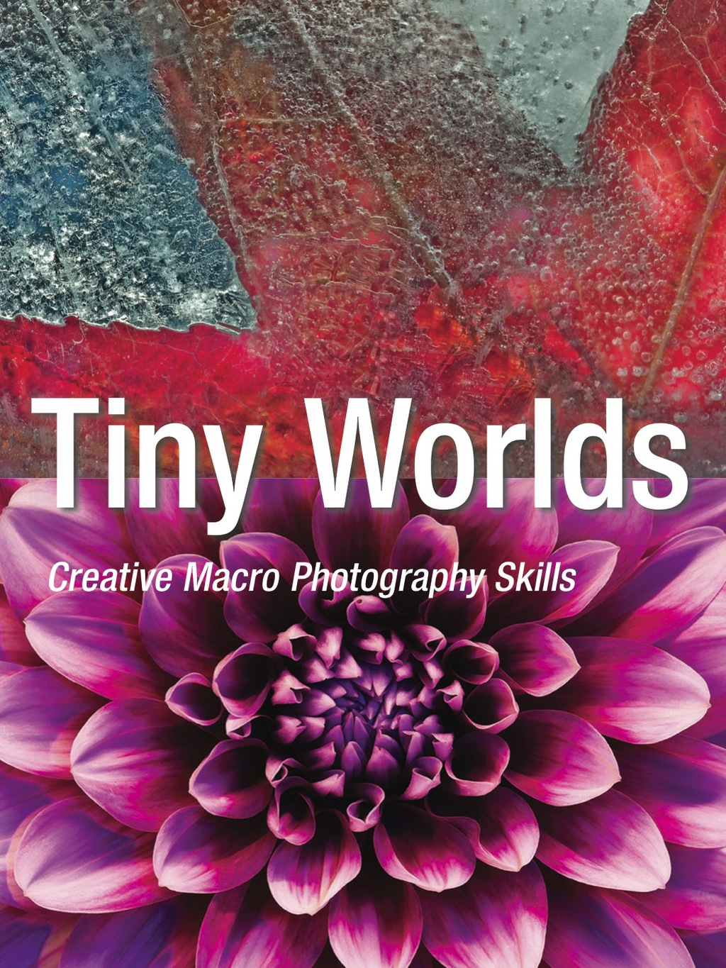 Tiny Worlds (eBook)