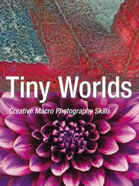 Cover image: Tiny Worlds 9781608957637