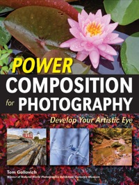 Omslagafbeelding: Power Composition for Photography 9781608958474