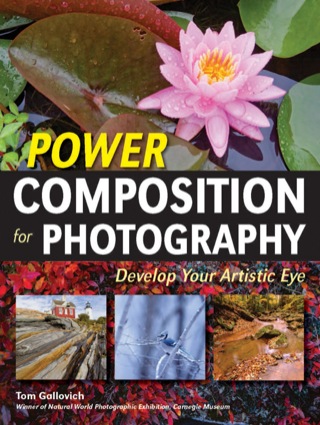 Imagen de portada: Power Composition for Photography 9781608958474