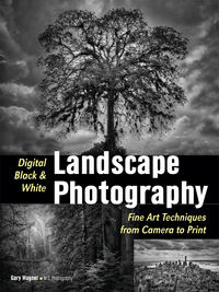 Cover image: Digital Black & White Landscape Photography 9781608959211