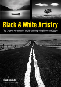 Cover image: Black & White Artistry 9781608959655
