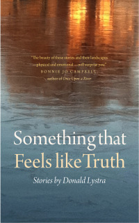 Cover image: Something That Feels Like Truth 9780875806938