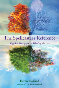 Omslagafbeelding: The Spellcaster's Reference 9781578634521