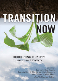 Cover image: Transition Now 9781578634743