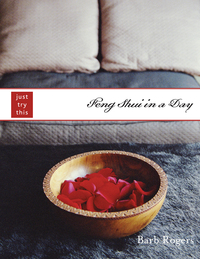 Cover image: Feng Shui in a Day 9781590030738