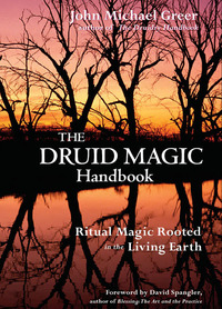 Imagen de portada: The Druid Magic Handbook 9781578633975