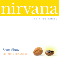 Imagen de portada: Nirvana in a Nutshell 9781590030172