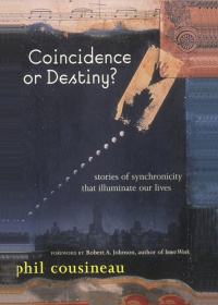 Imagen de portada: Coincidence or Destiny? 9781573248242