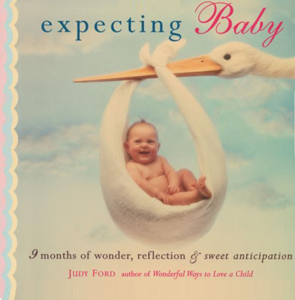 Expecting Baby 9 Months of Wonder, Reflection, & Sweet Anticipation