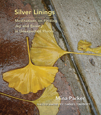 Cover image: Silver Linings 9781573243612