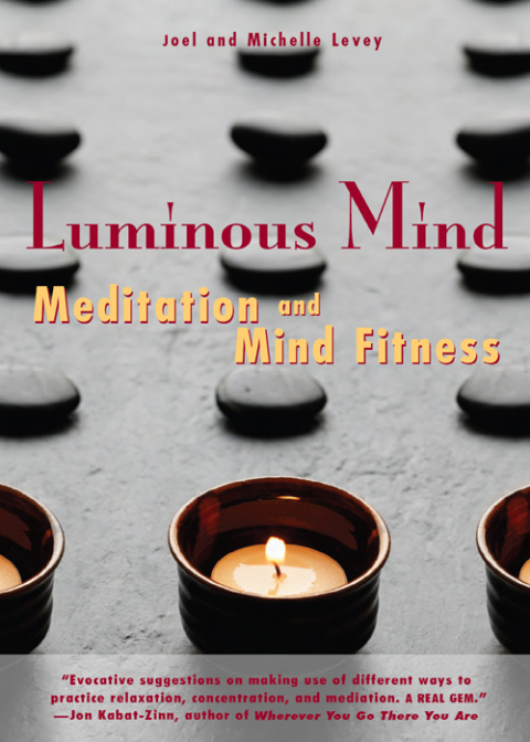 Luminous Mind : Meditation and Mind Fitness - FULL INSTANT DOWNLOAD | PDF DOCX EPUB