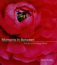 Cover image: Moments in Between 9781573242769