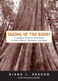 Cover image: Taking Up The Runes 9781578633258