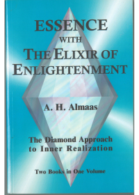 Omslagafbeelding: Essence with the Elixir of Enlightenment 9781578630448