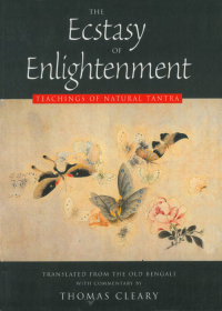 Omslagafbeelding: The Ecstasy of Enlightenment 9781578630271