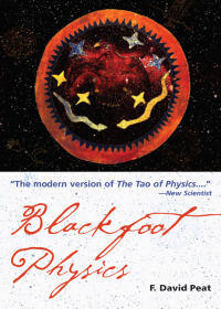 Cover image: Blackfoot Physics 9781578633715