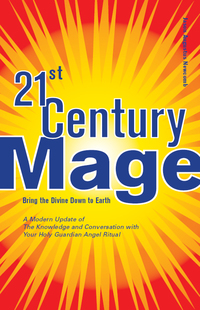 Immagine di copertina: 21st Century Mage 9781578632374
