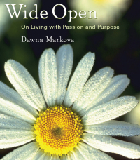 Cover image: Wide Open 9781573243643