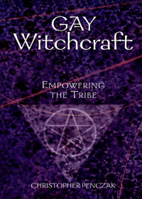 Omslagafbeelding: Gay Witchcraft 9781578632817
