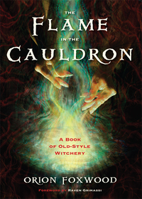 Imagen de portada: The Flame in the Cauldron 9781578635368