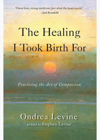 Omslagafbeelding: The Healing I Took Birth For 9781578635634