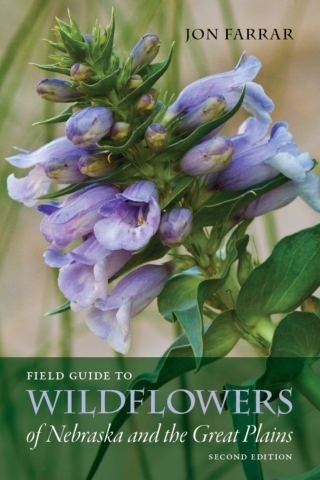 Cover image: Field Guide to Wildflowers of Nebraska and the Great Plains 9781609380717