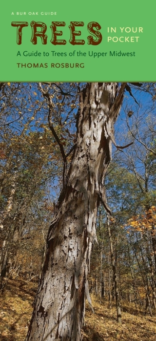 Cover image: Trees in Your Pocket 9781609381233