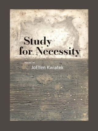 Cover image: Study for Necessity 9781609383244