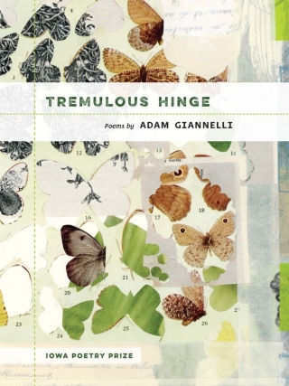 Immagine di copertina: Tremulous Hinge 9781609384869
