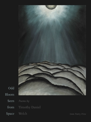 Cover image: Odd Bloom Seen from Space 9781609385040