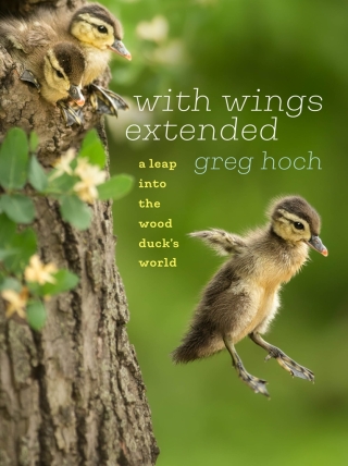 Cover image: With Wings Extended 9781609386955