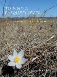 Omslagafbeelding: To Find a Pasqueflower 9781609388256