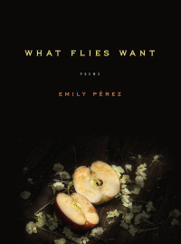 Cover image: What Flies Want 9781609388430