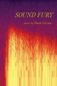 Cover image: Sound Fury 9781609388690