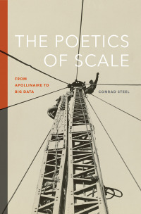 Imagen de portada: The Poetics of Scale 9781609389314
