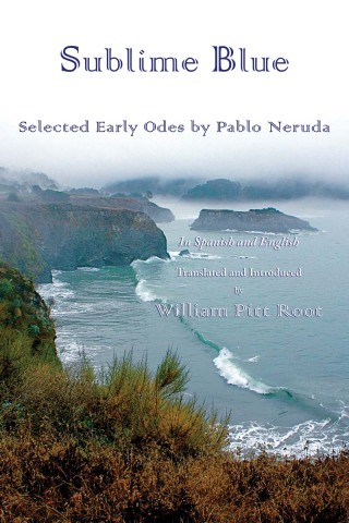 Cover image: Sublime Blue 9780916727871