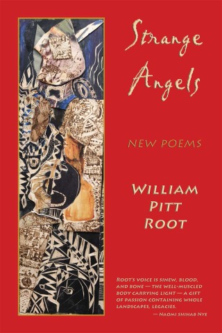 Imagen de portada: Strange Angels 9781609403195