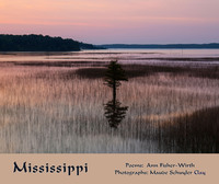 صورة الغلاف: Mississippi 1st edition 9781609405601